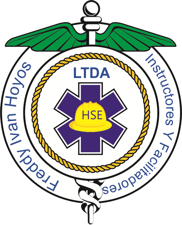 Logo de FIH Instructores Ltda